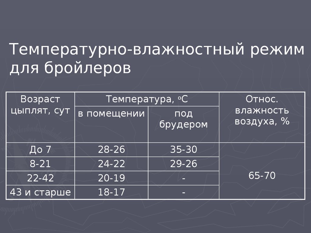 Фото температурный режим