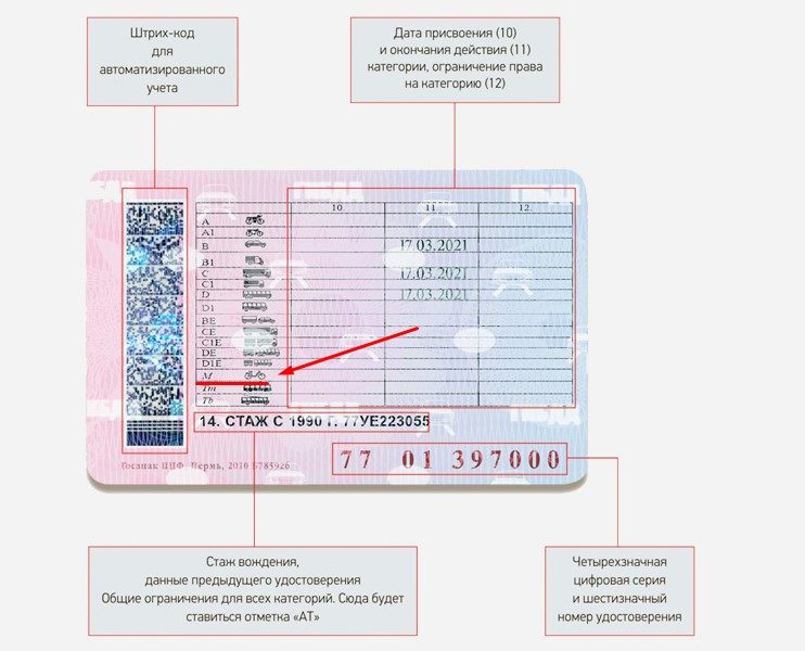 Что такое м в водительском удостоверении нового образца