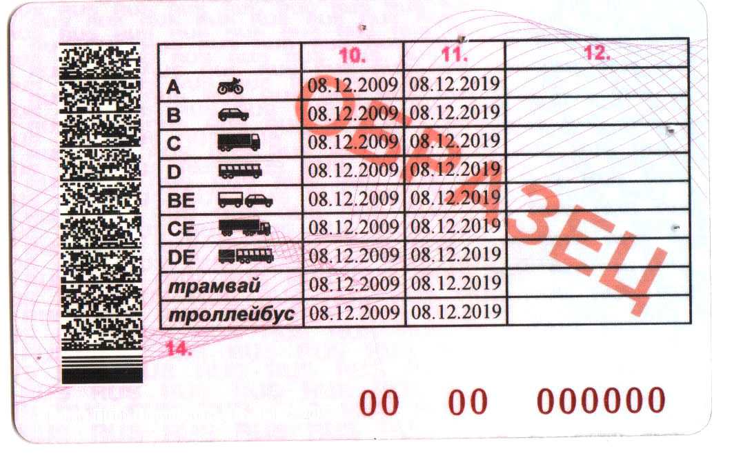 Что означает в водительских правах м. Категория в1 водительских прав что это такое. Категория b1 водительских прав в Казахстане. Категории водительских прав с расшифровкой в1 as. Категории водительских прав с расшифровкой в и в1.